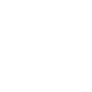 TOTAL ENERGIES